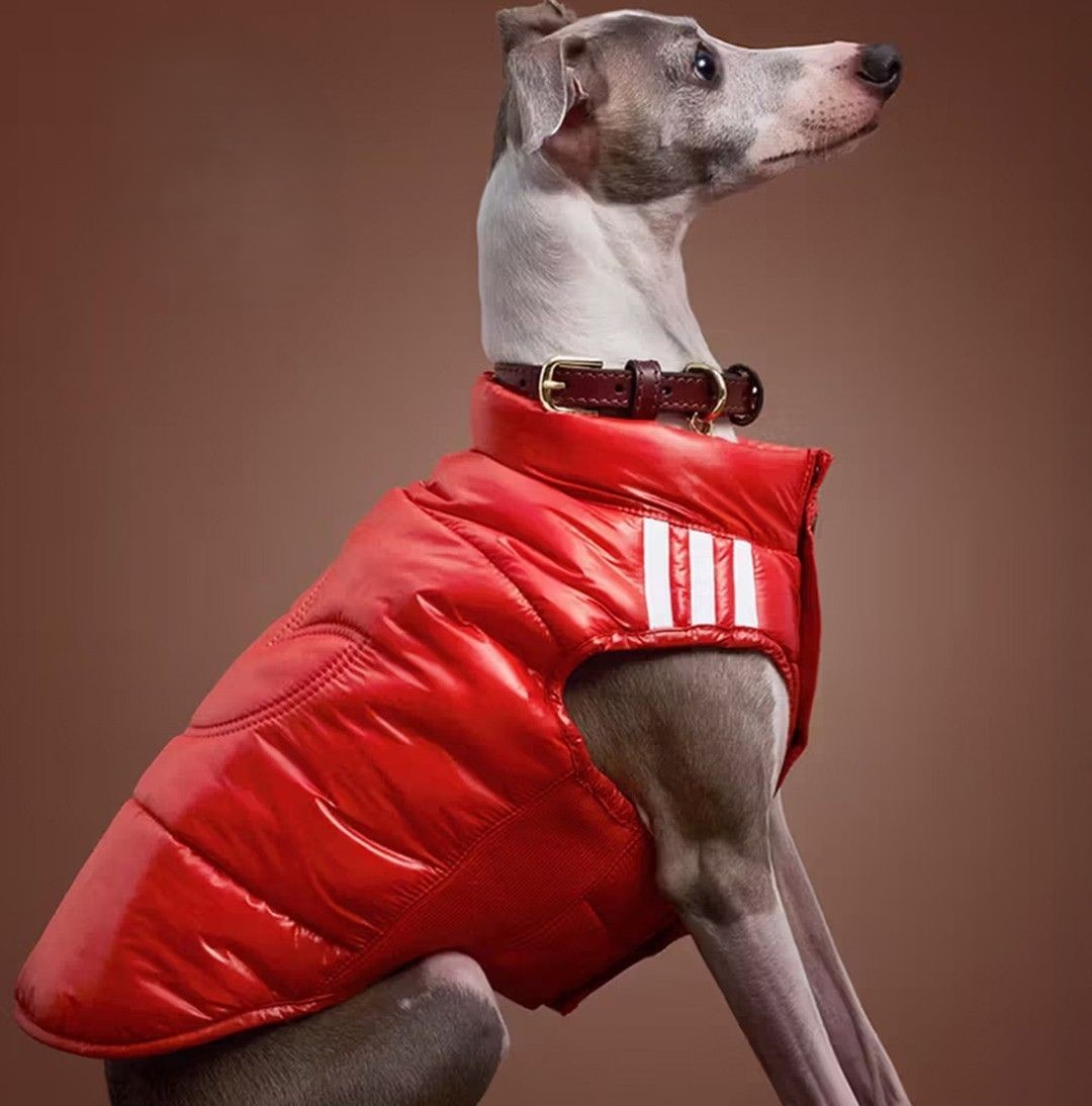 pet1