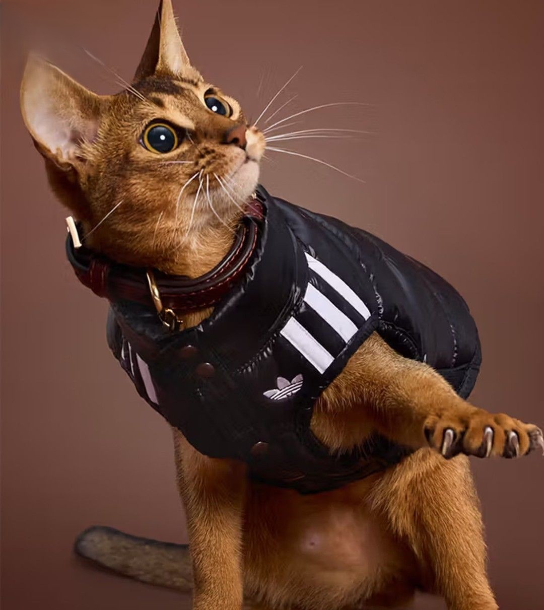 adidas