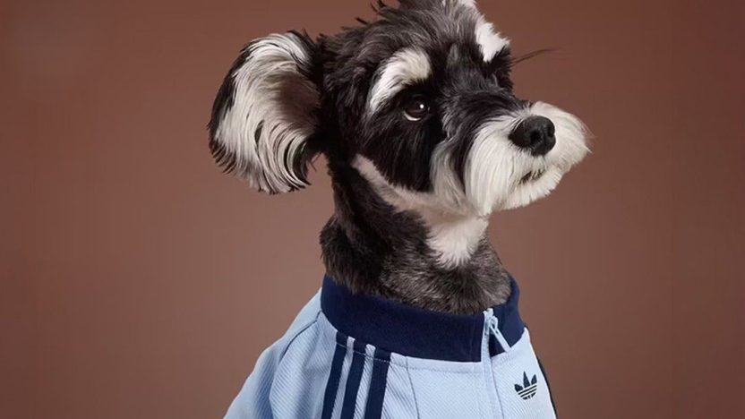 adidas