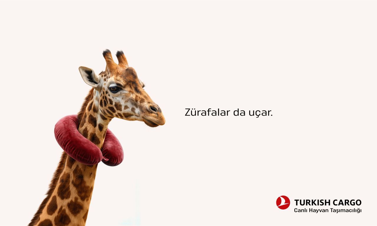 zurafa