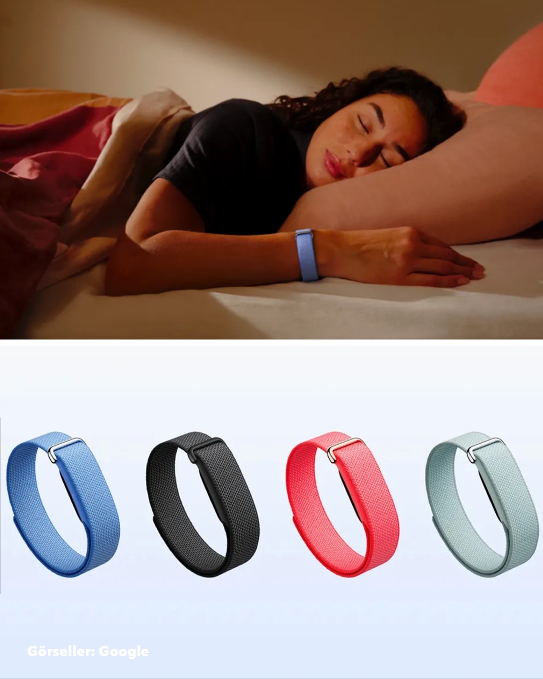 fitbit1