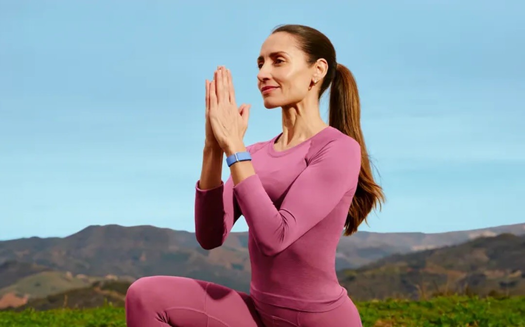 fitbit4