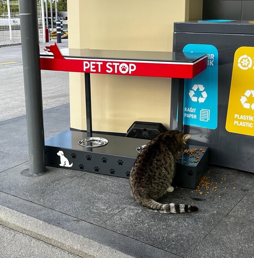 Petrol Ofisi