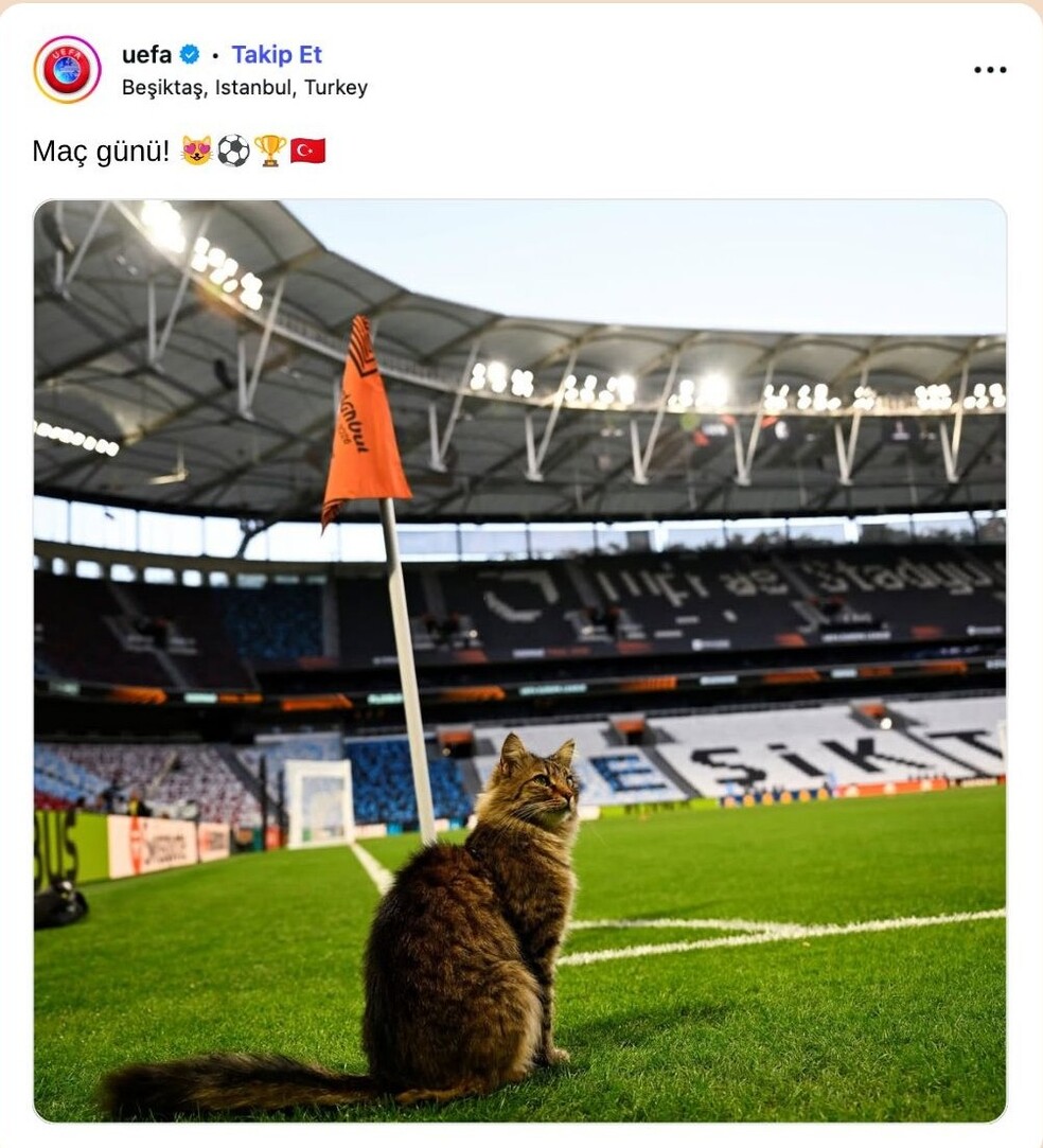 uefa1 1