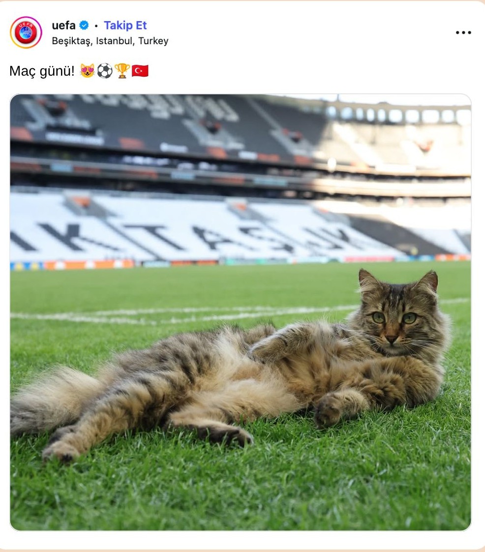 uefa2