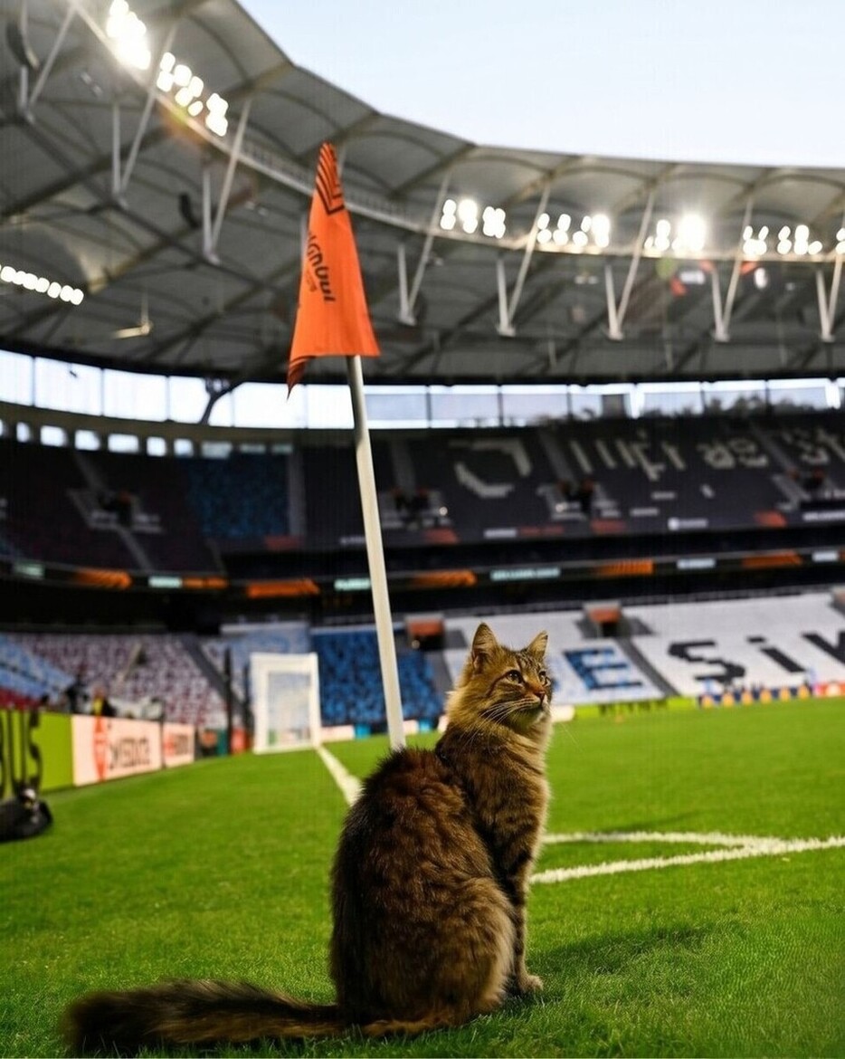UEFA