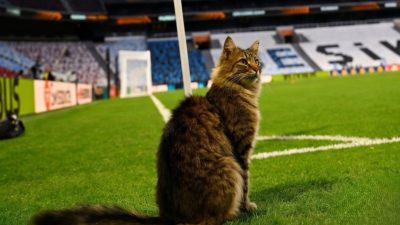 UEFA