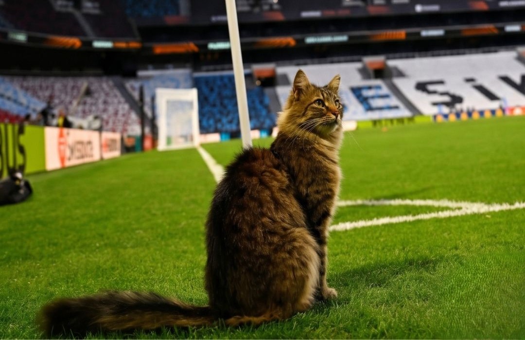 UEFA