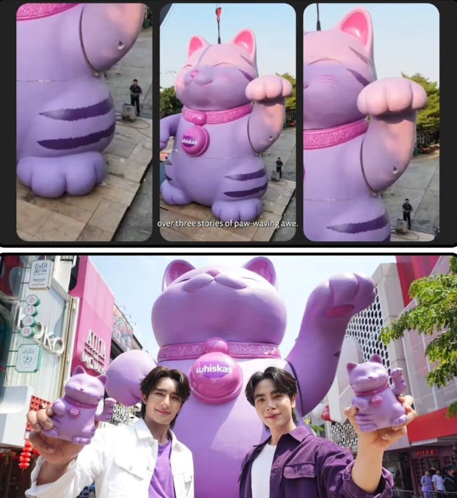 cats3 1