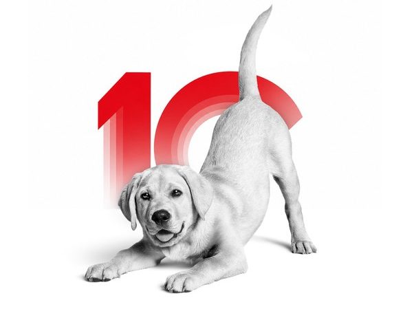 Royal Canin