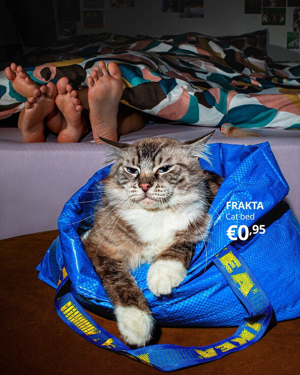 frakta9 1