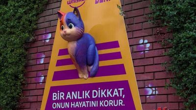 Whiskas