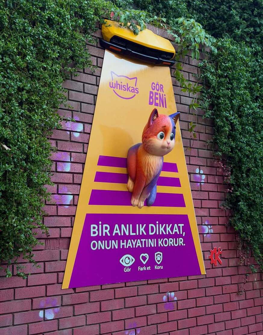 whiskas2 1